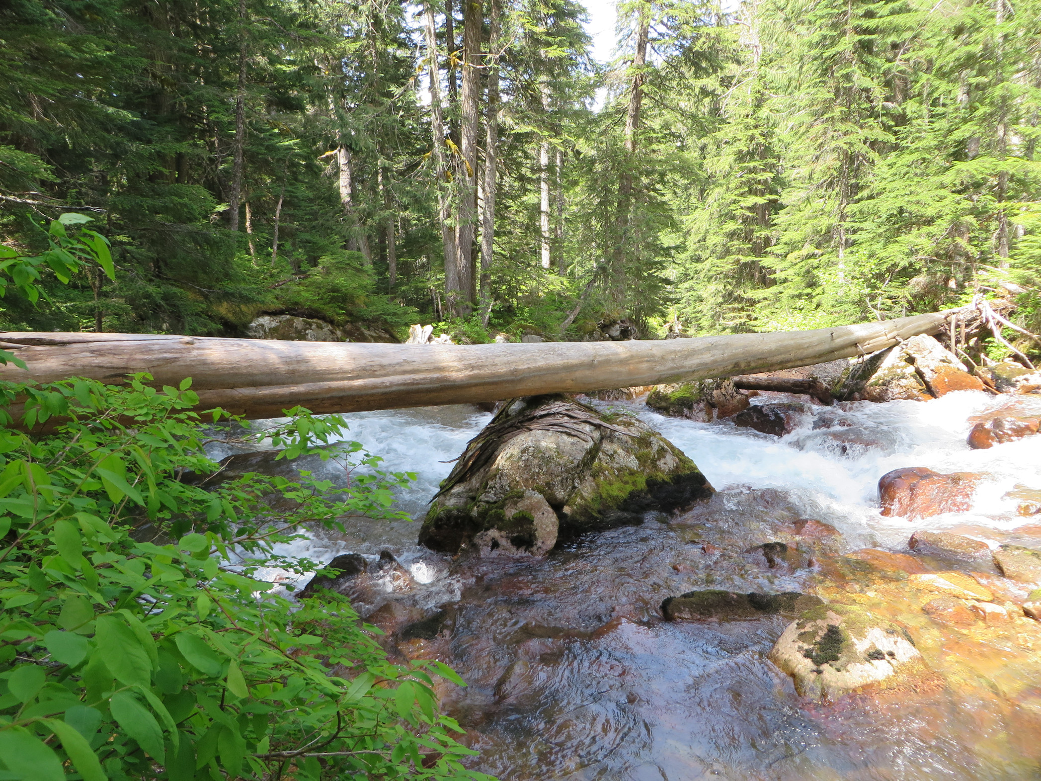 Paranoid Creek footbridge