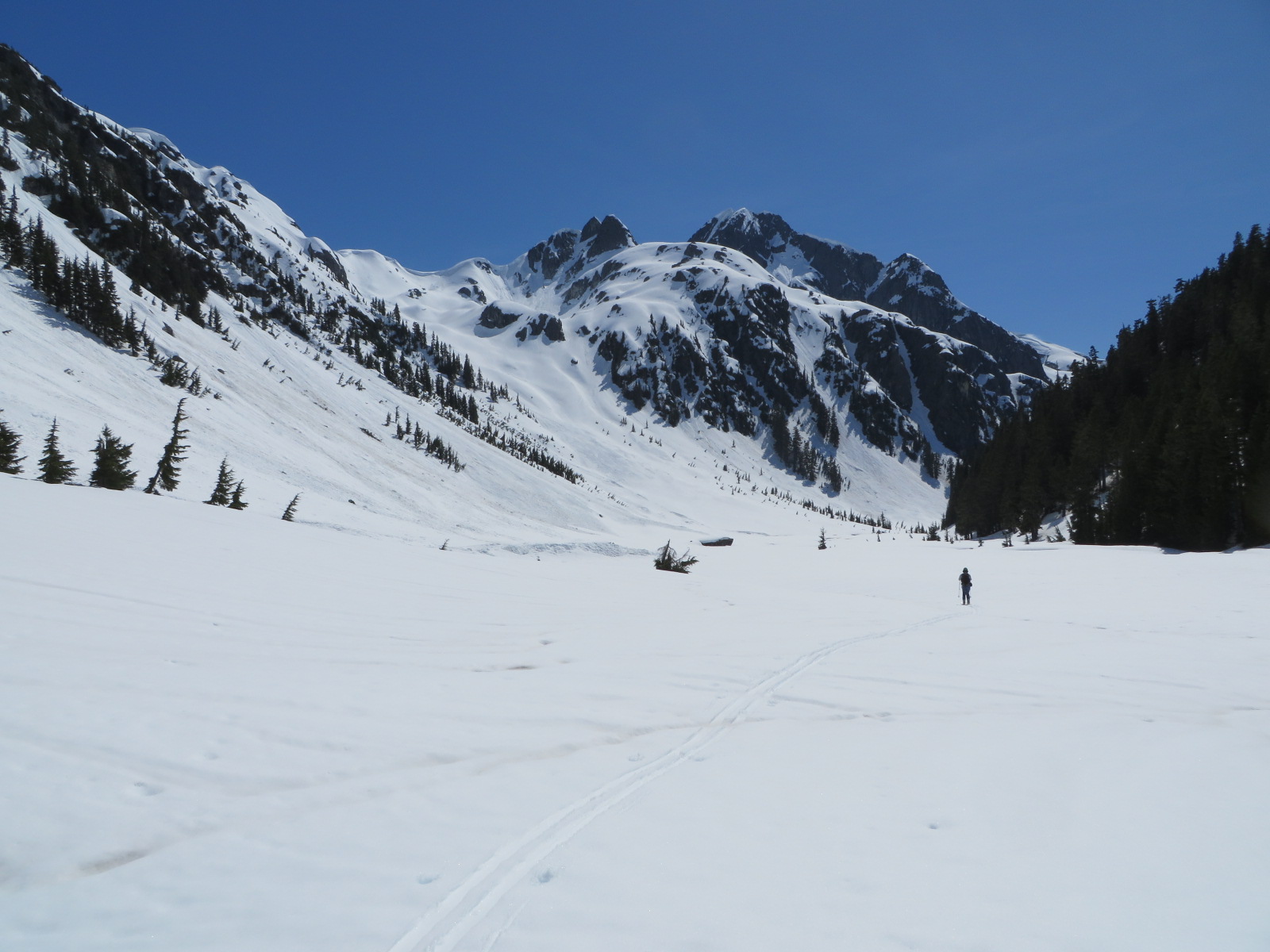 Skookum Creek East Fork