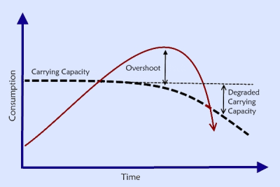 Overshoot 2