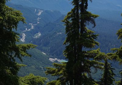 Darling Lake Trail Gallery