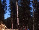 1992 hauling trail stuff using bike up to boise