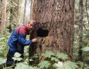 1992 trappers tree hole in boise