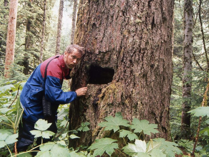 1992 trappers tree hole in boise
