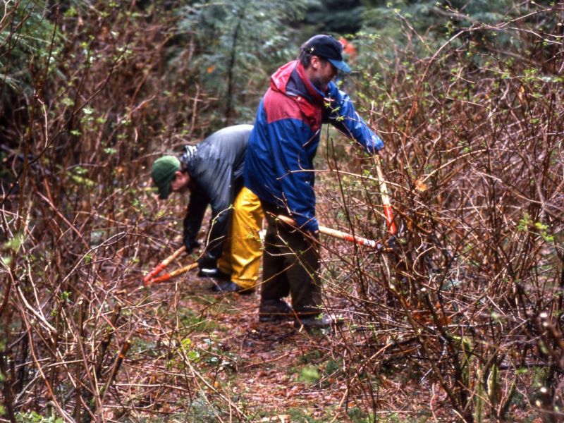 1993 clearing the old widgeon road   fools gold route