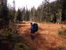 1993 scouting fools gold route   wet valley bottom meadows in upper debeck valley