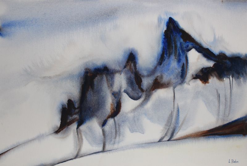 k15.blacktuskskicircuit