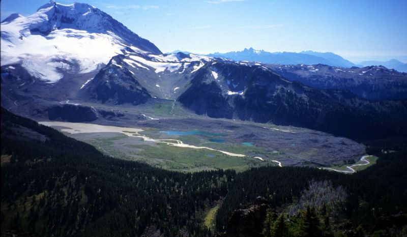 warrenmeadowsdrewbrayshaw