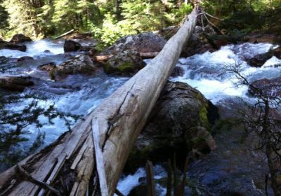 Darling Lake Trail Gallery 2