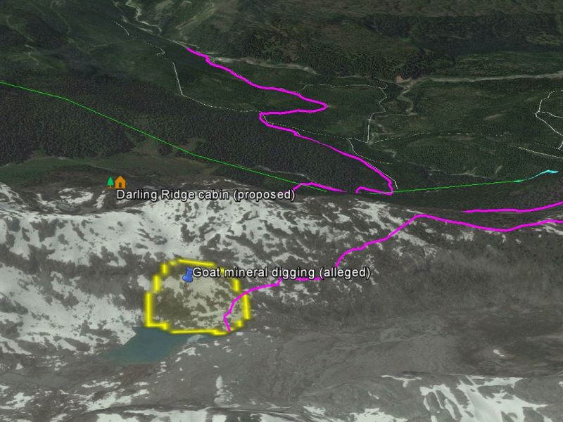 darlinglakeminerallick alleged