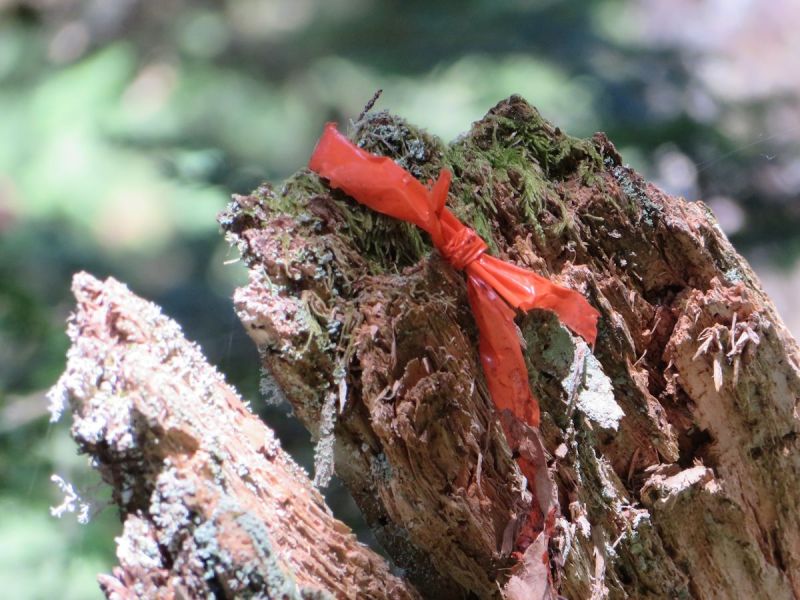 darlinglaketrailheritage