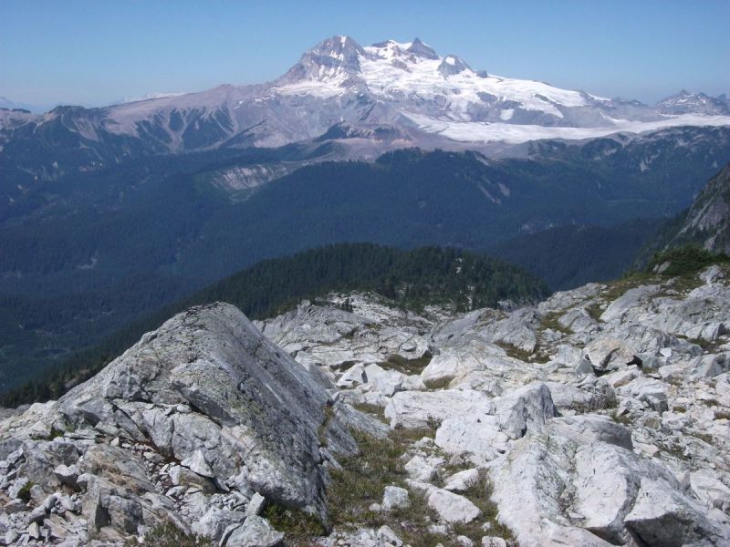 darlingridge garibaldi