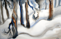 K4.Cypress.winter200